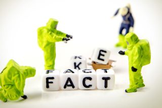 fake fact